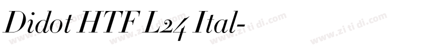 Didot HTF L24 Ital字体转换